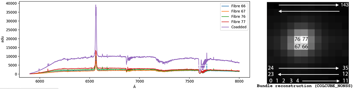 Example of spectrum extracted from RSS Example of spectrum extracted from RSS